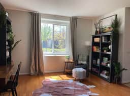 Gorgeous, Pet and Family friendly, Long stays