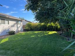 Remodeled 4BR near Maidu Park · Roseville/Granite Bay · Pets OK - Image 4